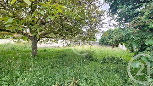 terrain - THUE ET MUE - 14